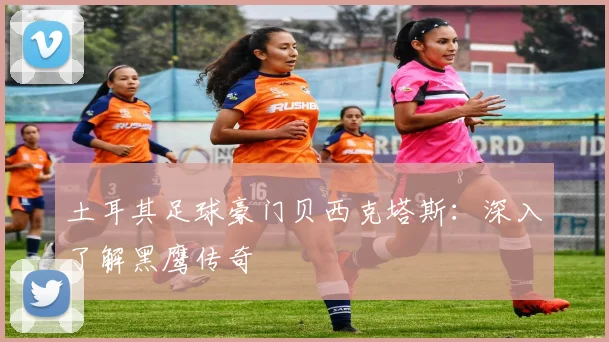 土耳其足球豪门贝西克塔斯：深入了解黑鹰传奇