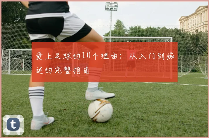 爱上足球的10个理由：从入门到痴迷的完整指南